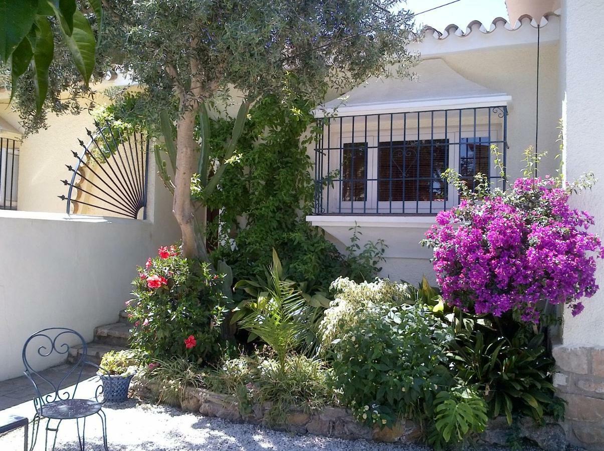 Apartment Garden At Casa Madden