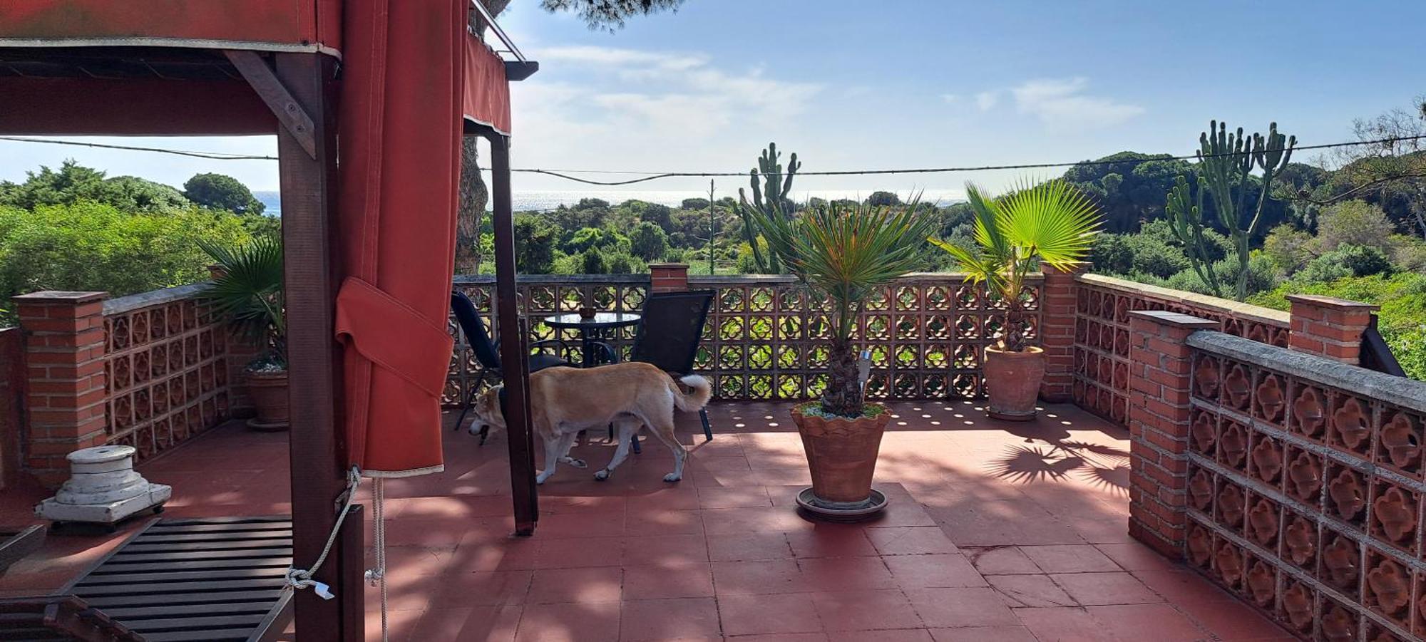 Garden At Casa Madden Appartement Marbella